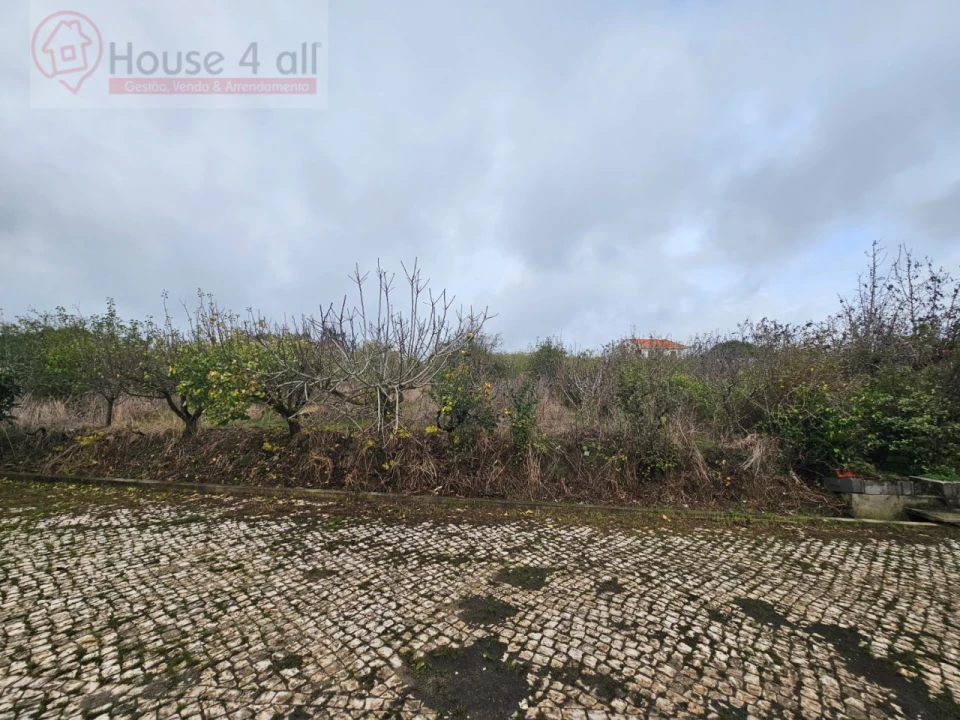 Moradia T3 para Venda em Salir de Matos Foto 31