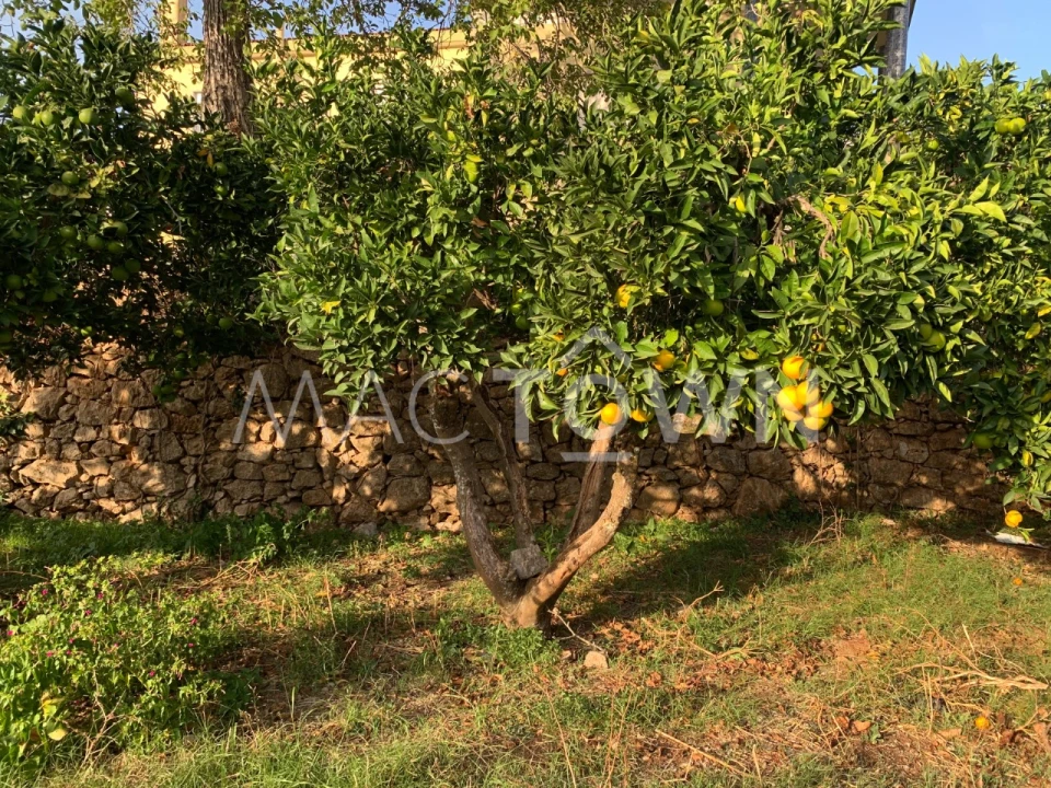 Moradia T5 para Venda em Mira de Aire Foto 49