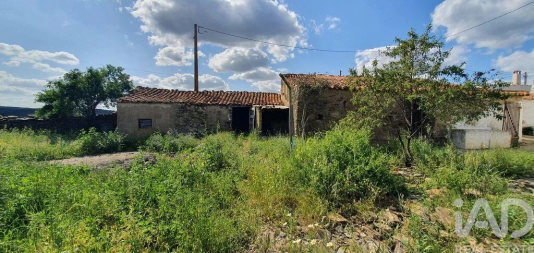 Terreno para Venda em Alcoutim e Pereiro Foto 24