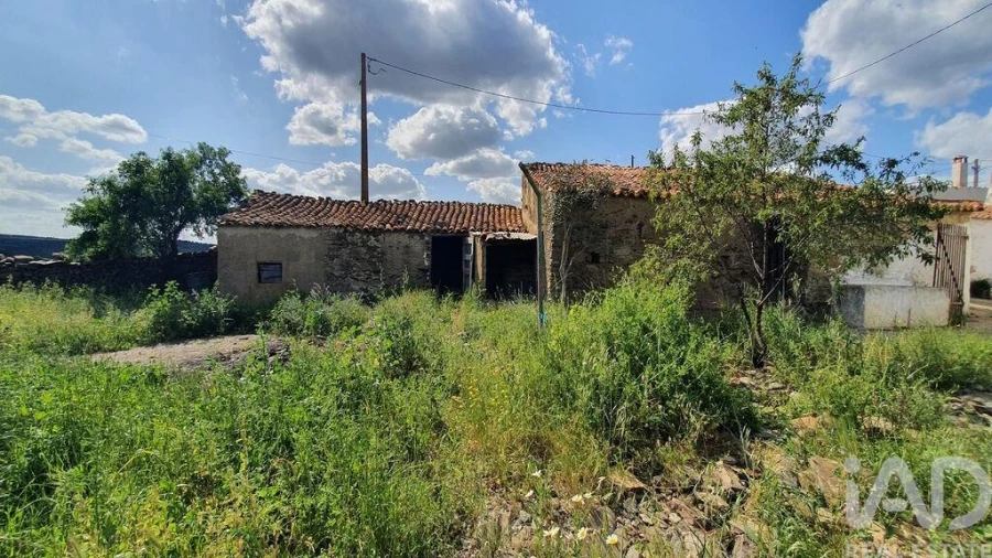 Terreno para Venda em Alcoutim e Pereiro Foto 2