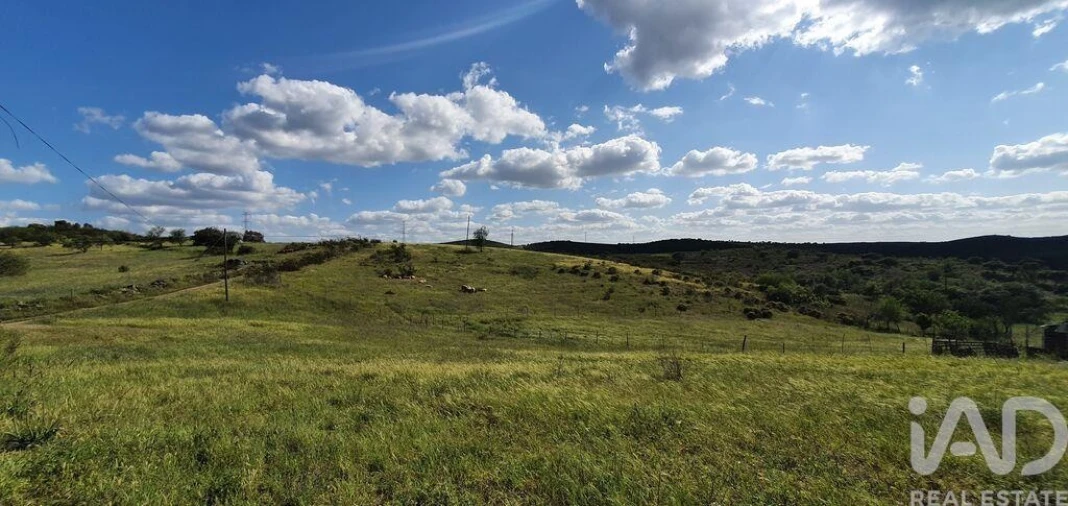 Terreno para Venda em Alcoutim e Pereiro Foto 9