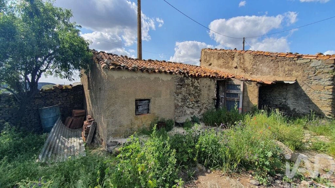 Terreno para Venda em Alcoutim e Pereiro Foto 4