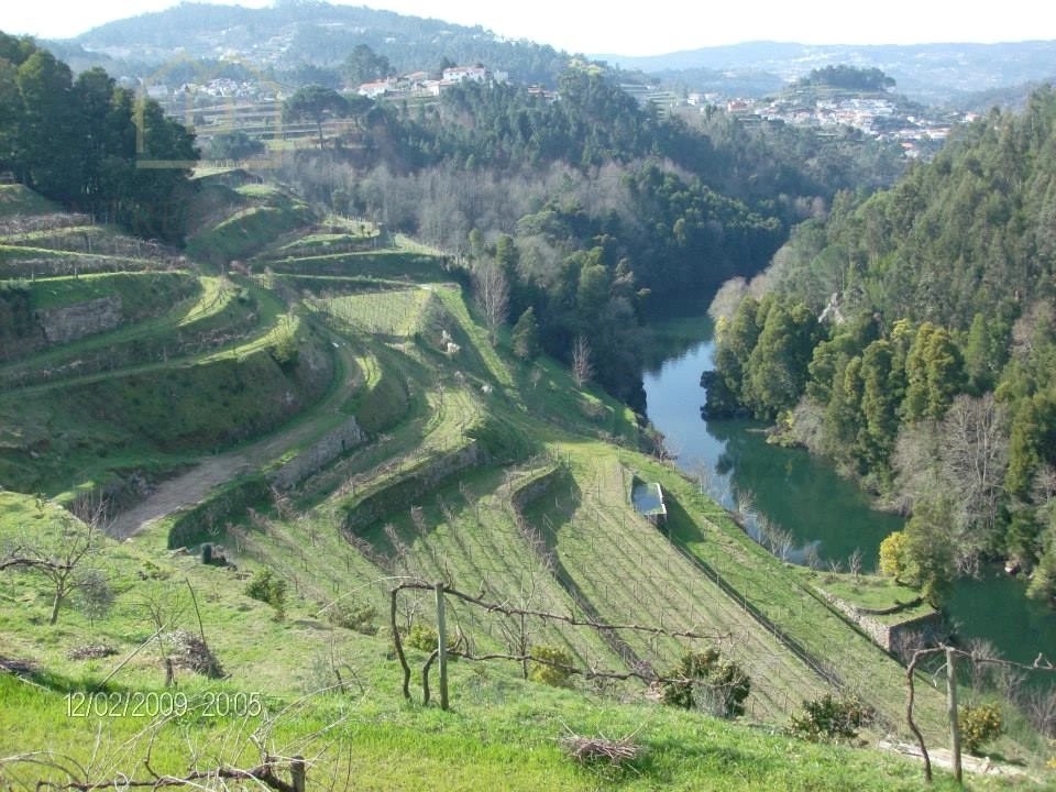 Quinta T10 para Venda em Fornos Foto 2