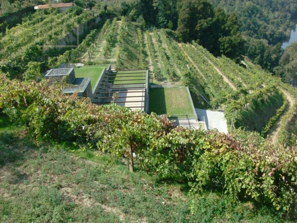 Quinta T10 para Venda em Fornos Foto 5