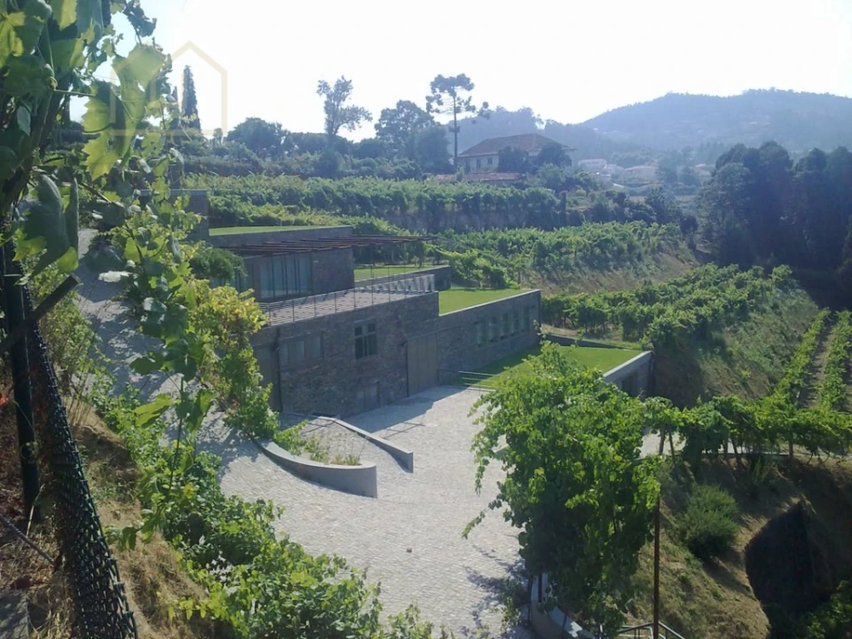 Quinta T10 para Venda em Fornos Foto 7