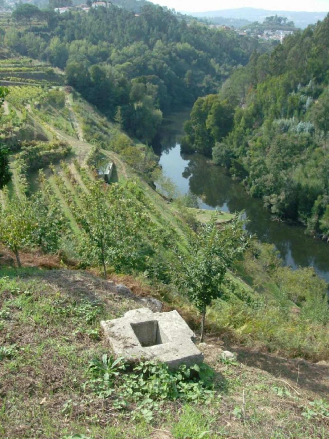 Quinta T10 para Venda em Fornos Foto 8