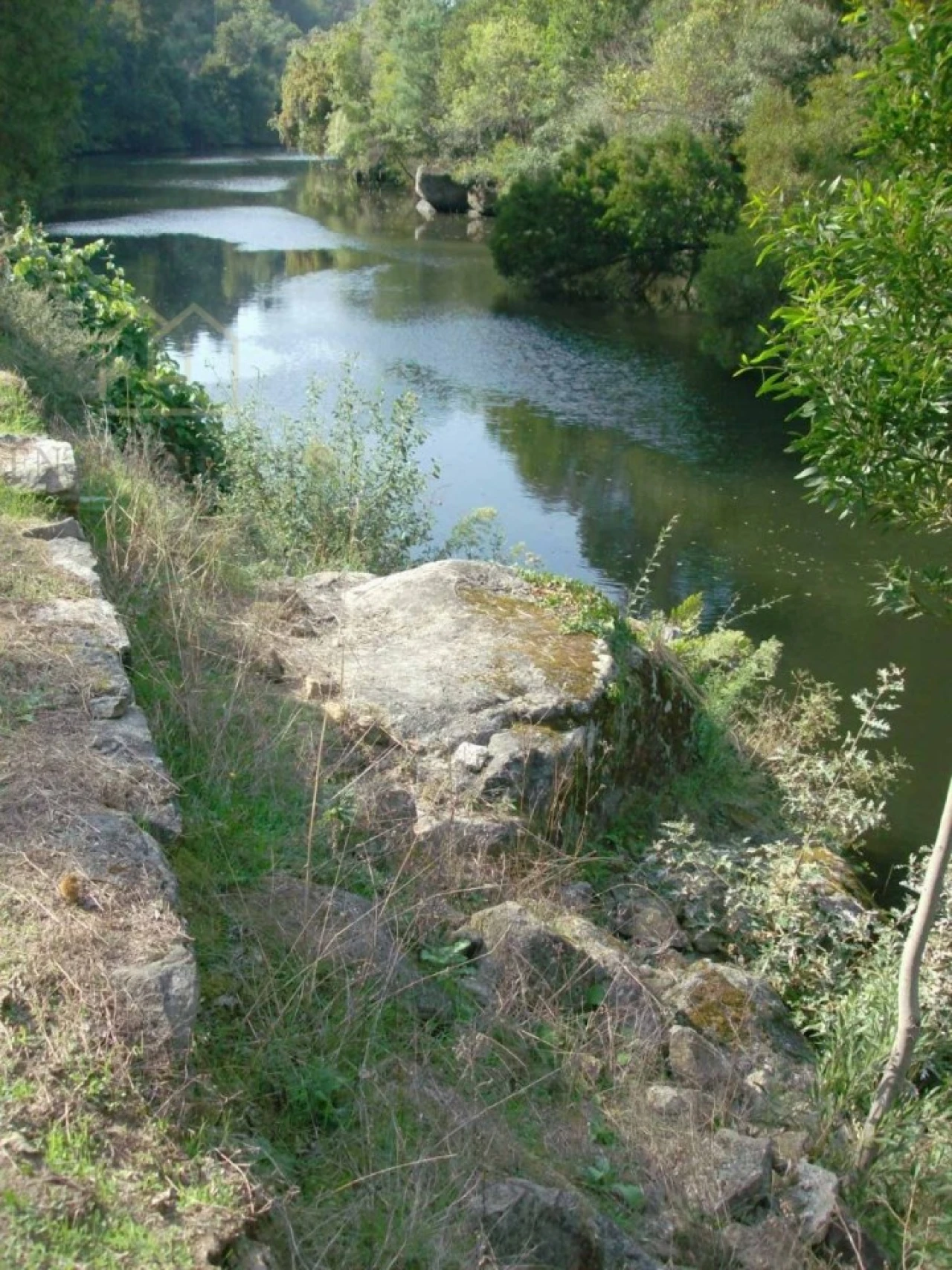 Quinta T10 para Venda em Fornos Foto 11