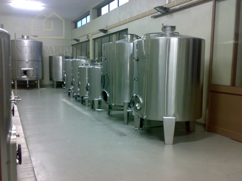 Quinta T10 para Venda em Fornos Foto 25