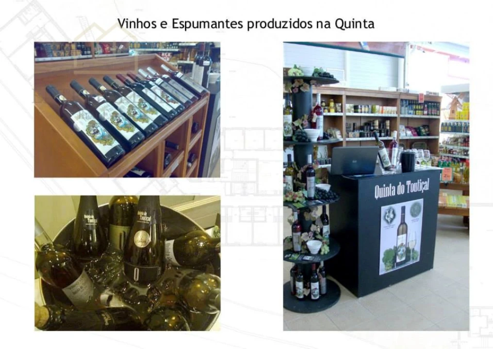 Quinta T10 para Venda em Fornos Foto 34