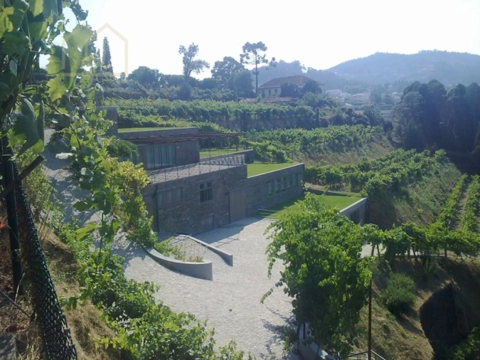 Quinta T10 para Venda em Fornos Foto 7