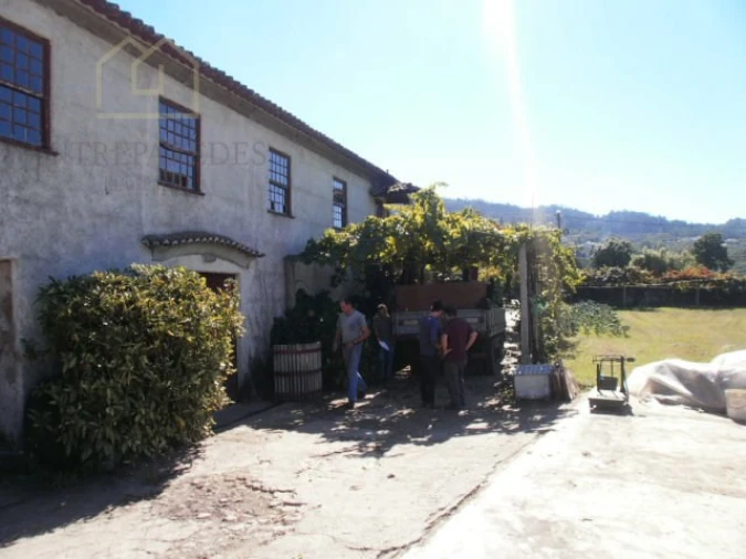 Quinta T10 para Venda em Fornos Foto 18