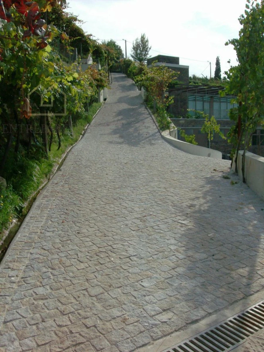 Quinta T10 para Venda em Fornos Foto 19