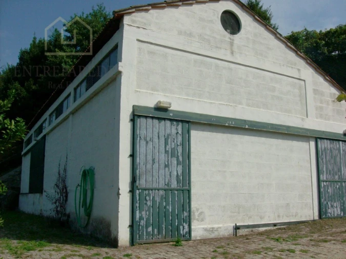 Quinta T10 para Venda em Fornos Foto 20