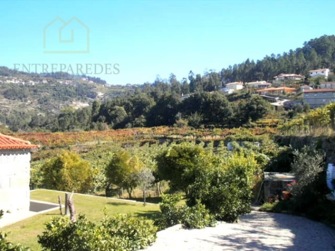 Quinta T10 para Venda em Fornos Foto 24