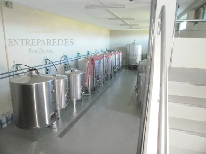 Quinta T10 para Venda em Fornos Foto 26