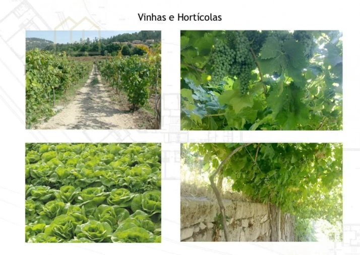 Quinta T10 para Venda em Fornos Foto 46