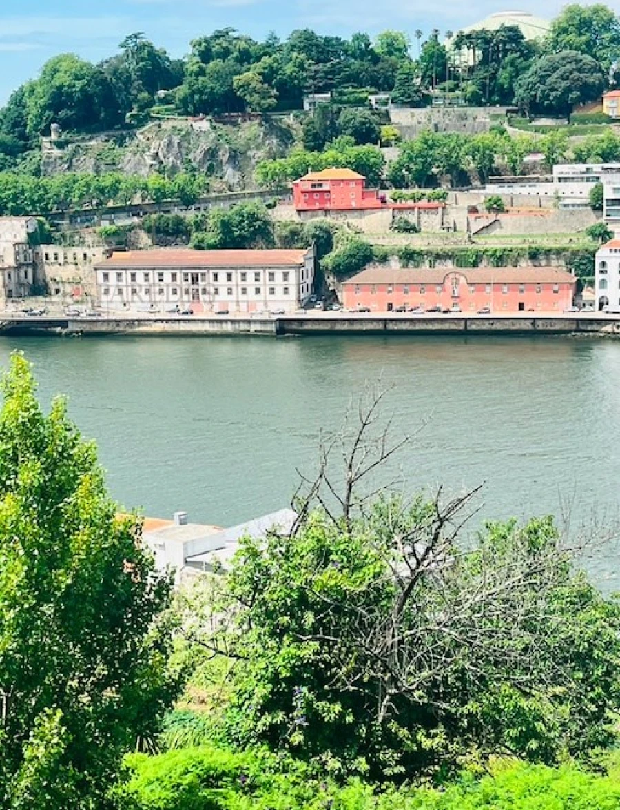 Apartamento T4 para Venda em Santa Marinha e São Pedro da Afurada Foto 8