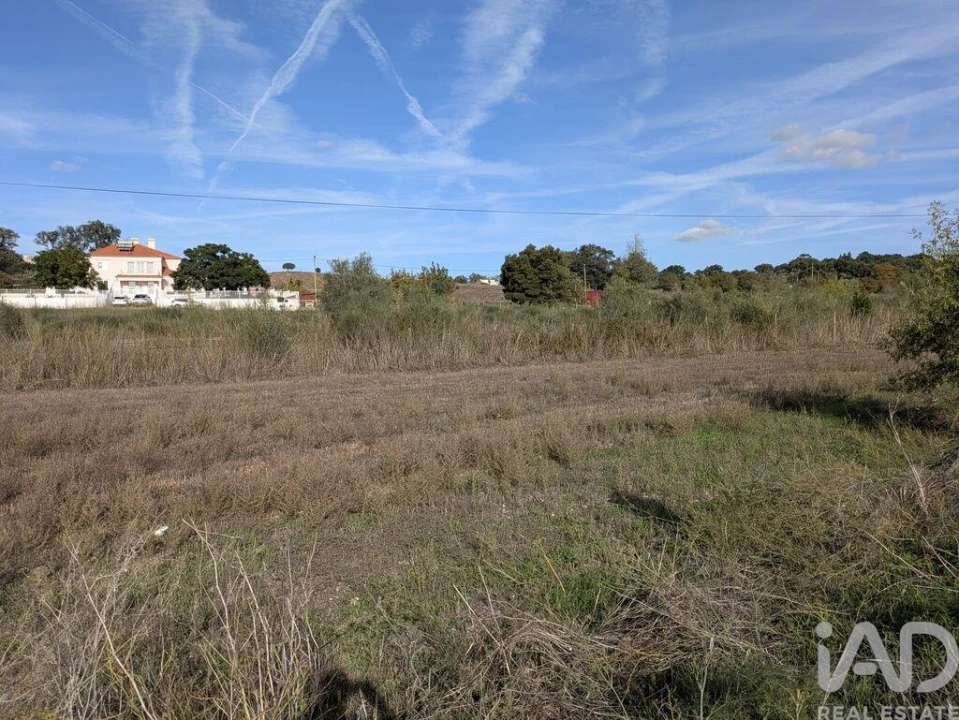 Terreno para Venda em São Bento do Cortiço e Santo Estêvão Foto 11