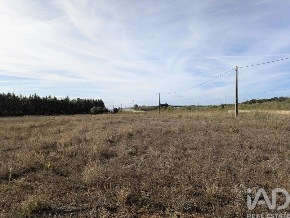 Terreno para Venda em São Bento do Cortiço e Santo Estêvão Foto 1