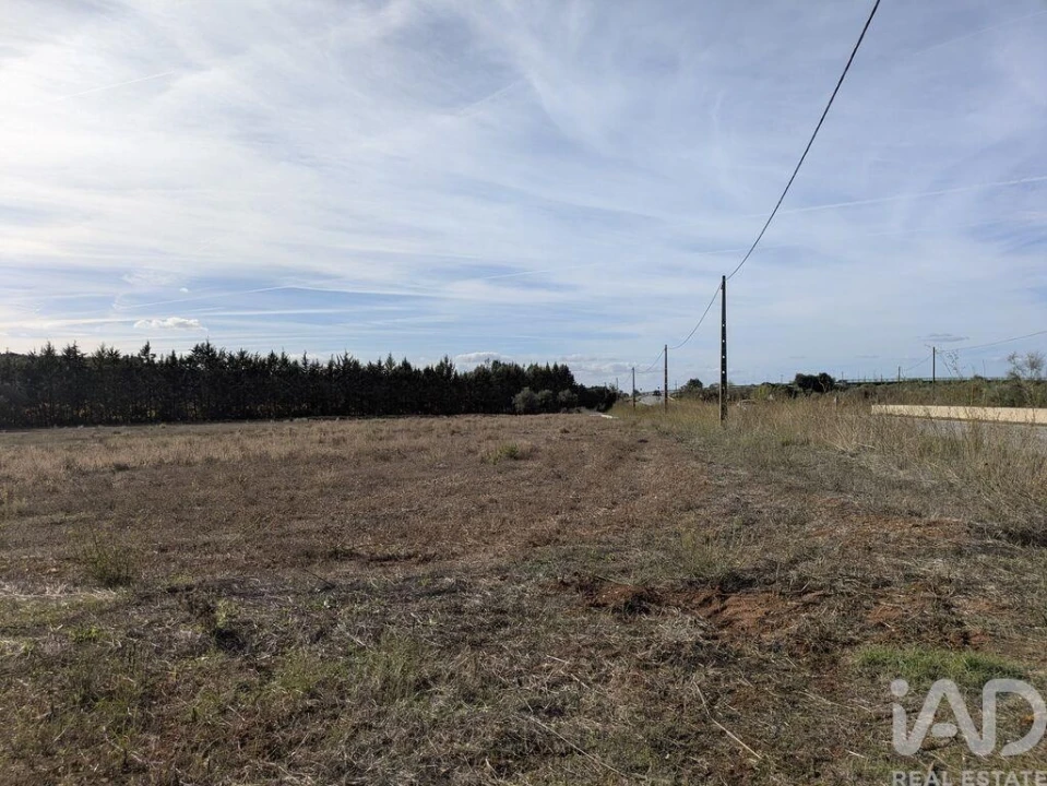 Terreno para Venda em São Bento do Cortiço e Santo Estêvão Foto 2