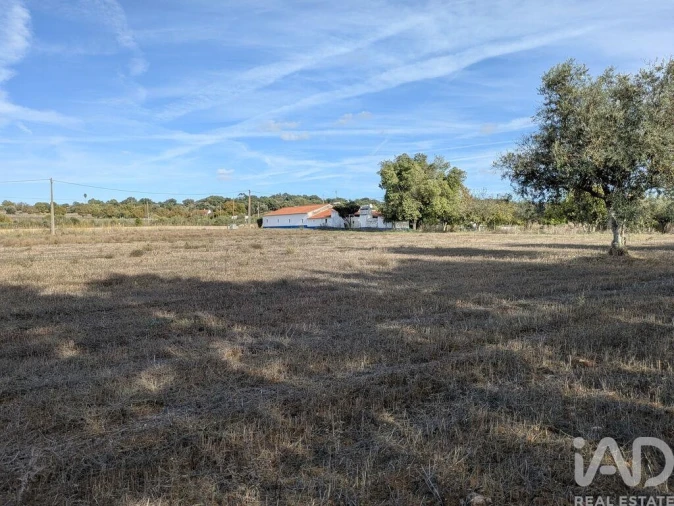 Terreno para Venda em São Bento do Cortiço e Santo Estêvão Foto 7