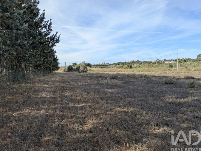 Terreno para Venda em São Bento do Cortiço e Santo Estêvão Foto 8
