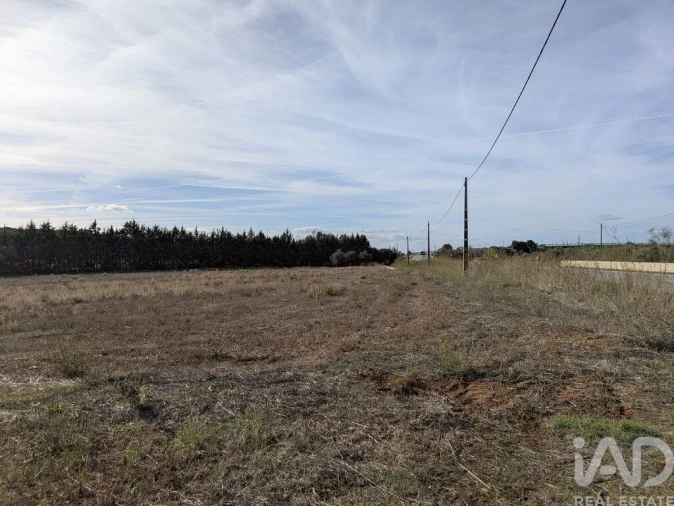 Terreno para Venda em São Bento do Cortiço e Santo Estêvão Foto 2