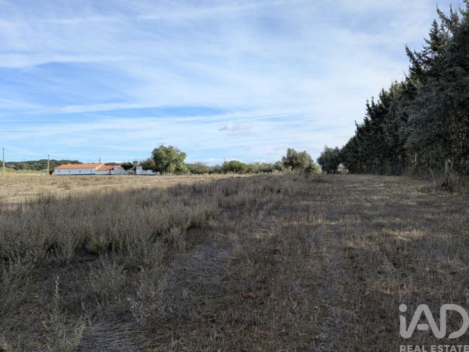 Terreno para Venda em São Bento do Cortiço e Santo Estêvão Foto 10