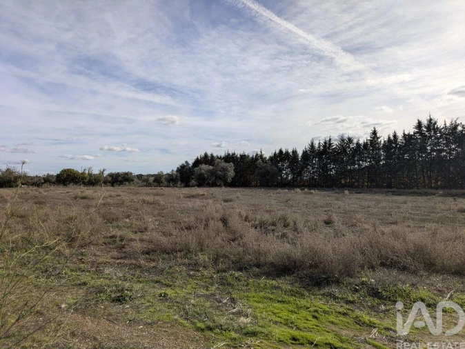 Terreno para Venda em São Bento do Cortiço e Santo Estêvão Foto 14