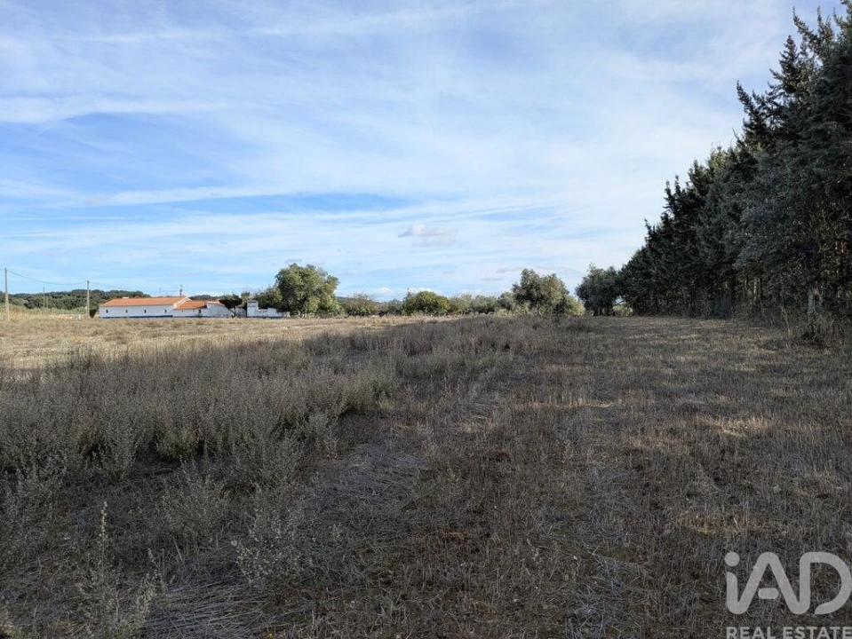 Terreno para Venda em São Bento do Cortiço e Santo Estêvão Foto 10