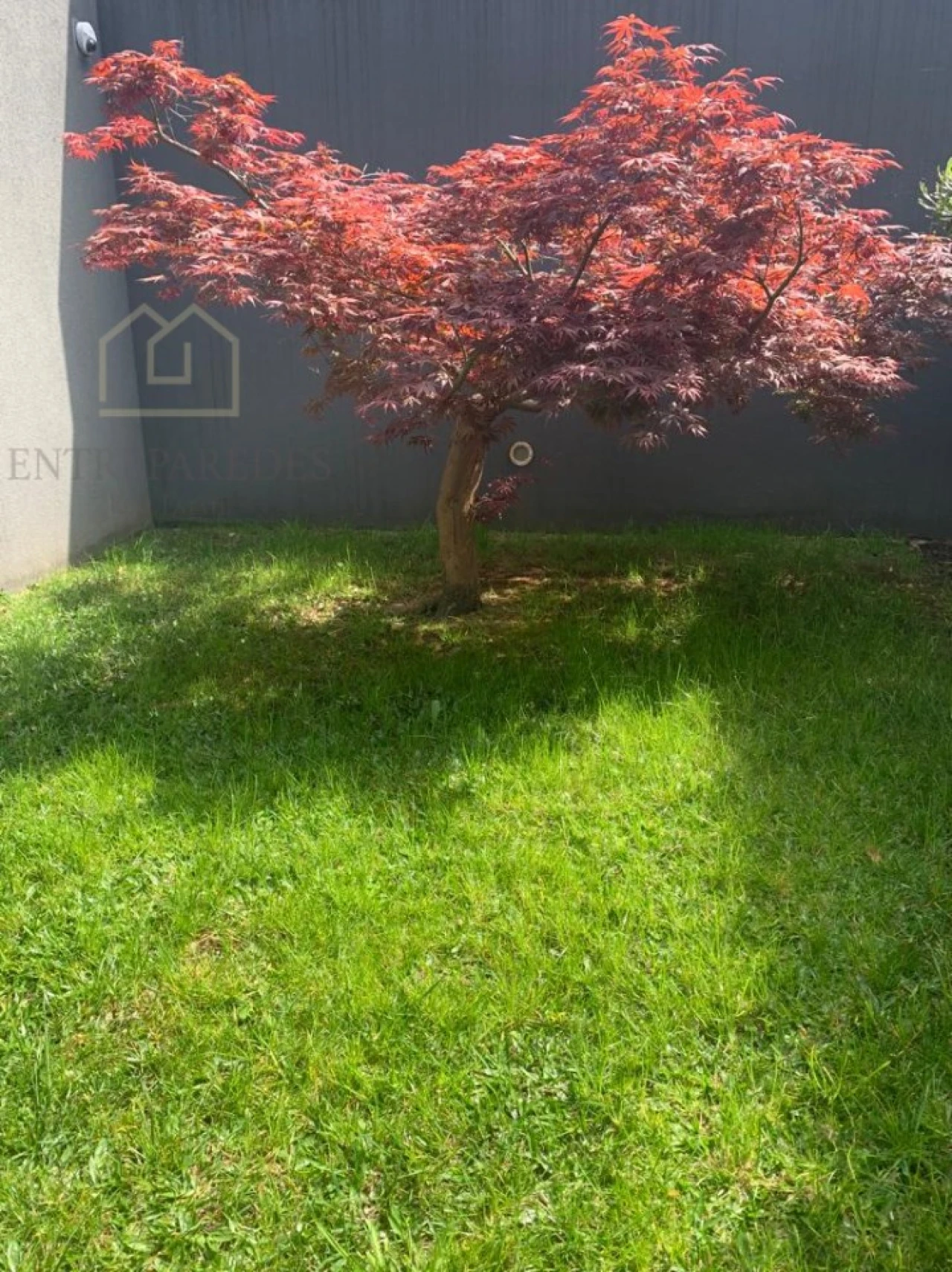 Moradia T3 para Venda em Mafamude e Vilar do Paraíso Foto 6