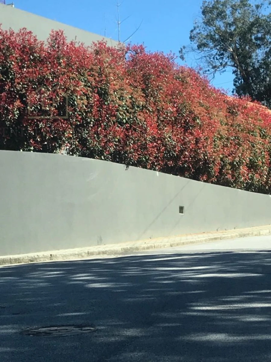 Moradia T3 para Venda em Mafamude e Vilar do Paraíso Foto 17