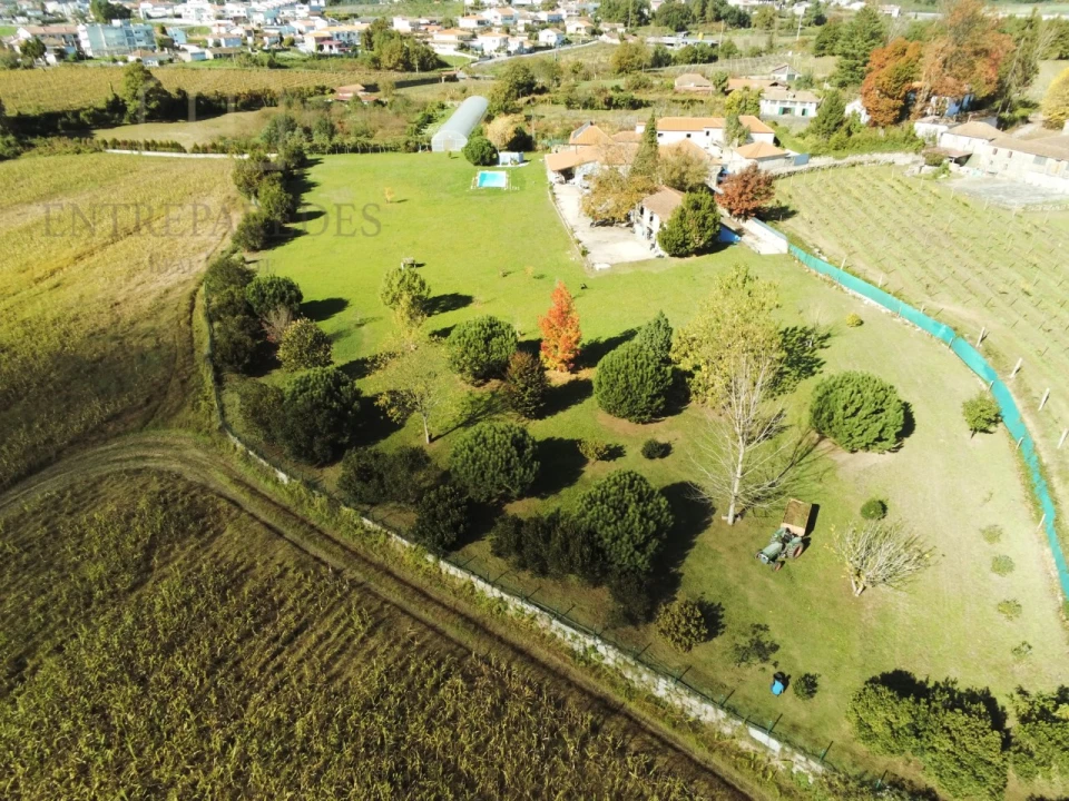 Quinta T11 para Venda em Paredes Foto 6