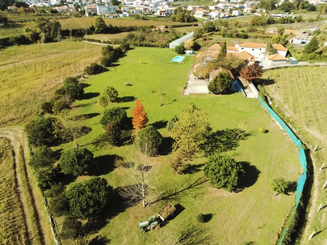 Quinta T11 para Venda em Paredes Foto 4