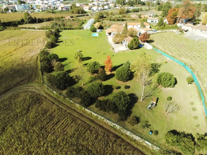 Quinta T11 para Venda em Paredes Foto 6