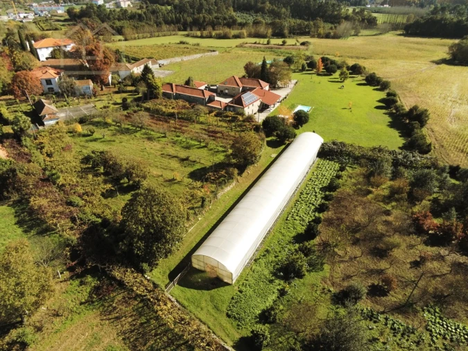 Quinta T11 para Venda em Paredes Foto 20