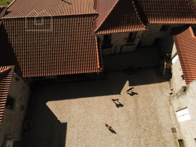 Quinta T11 para Venda em Paredes Foto 42