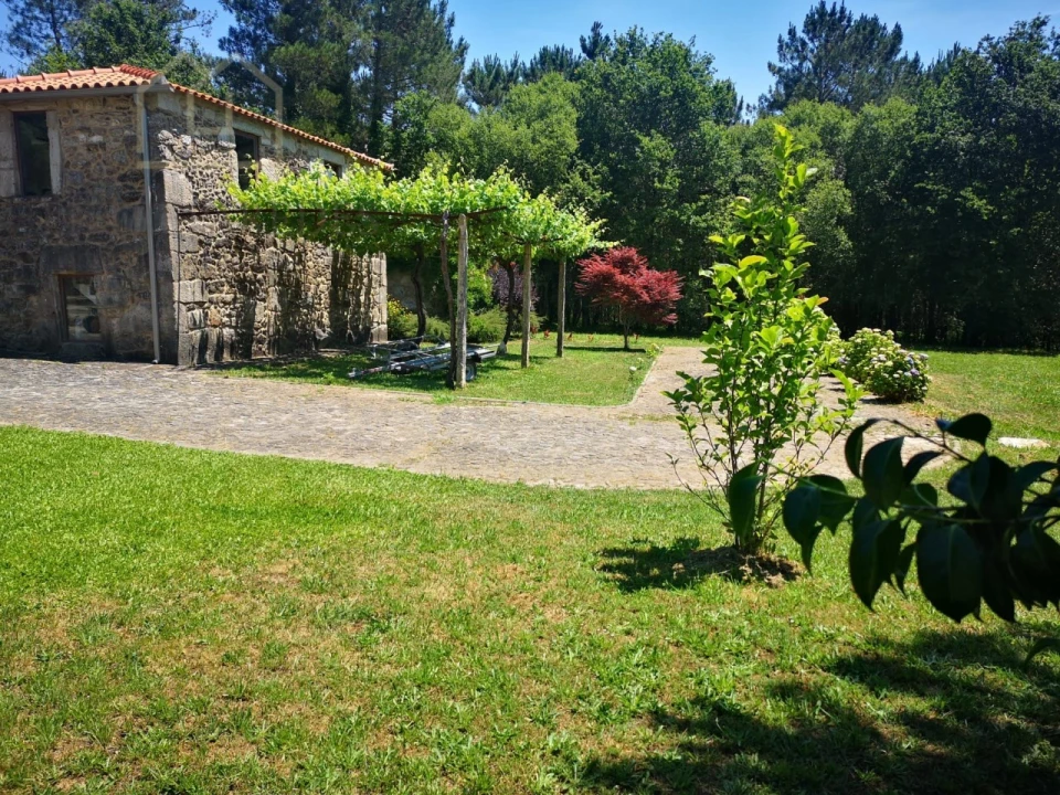 Quinta T7 para Venda em Mentrestido Foto 5