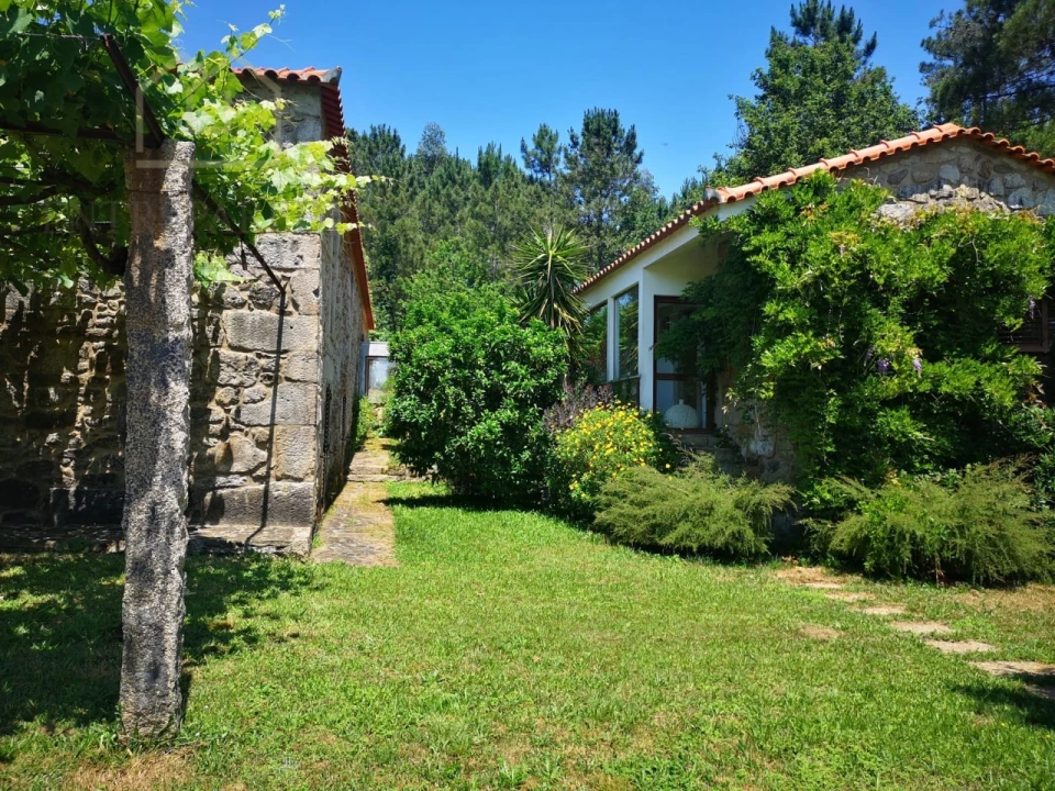 Quinta T7 para Venda em Mentrestido Foto 6