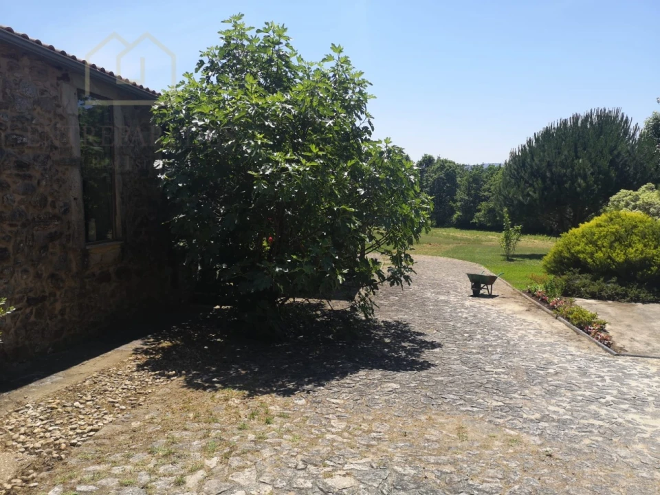 Quinta T7 para Venda em Mentrestido Foto 23