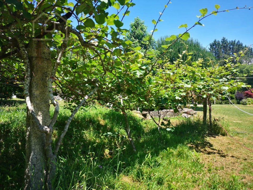 Quinta T7 para Venda em Mentrestido Foto 24