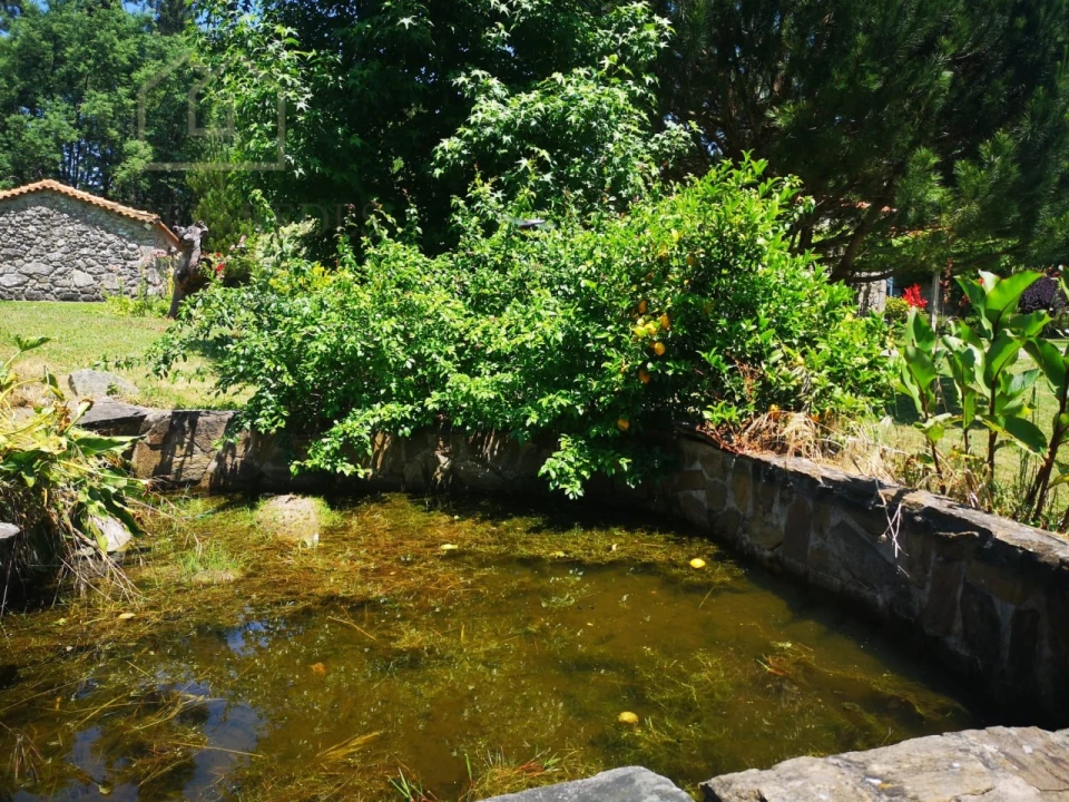 Quinta T7 para Venda em Mentrestido Foto 26