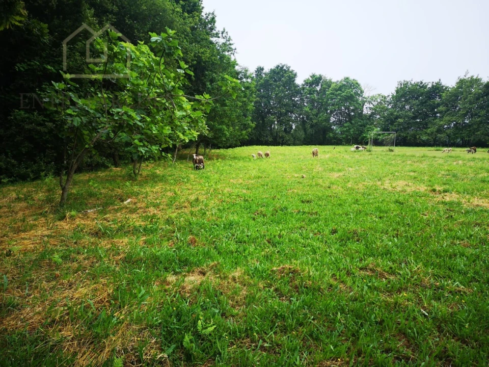 Quinta T7 para Venda em Mentrestido Foto 34