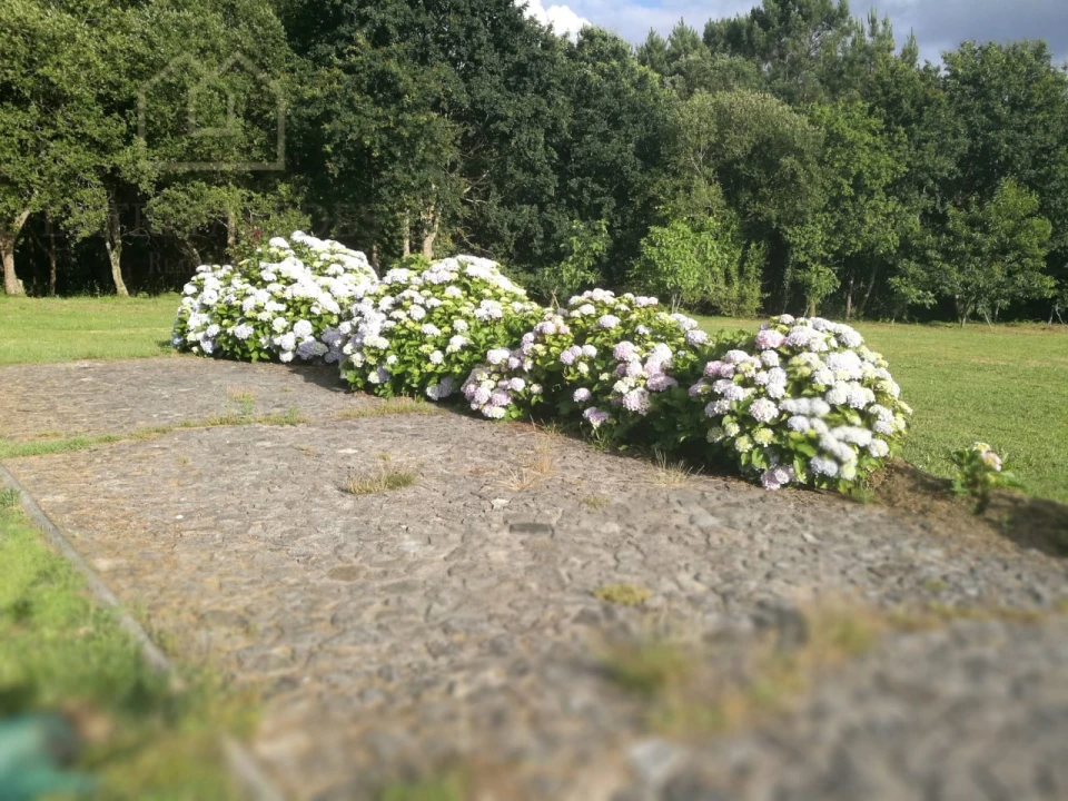 Quinta T7 para Venda em Mentrestido Foto 41