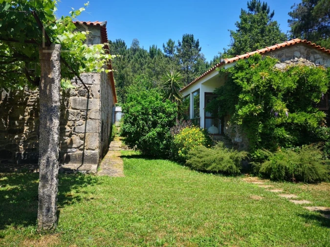 Quinta T7 para Venda em Mentrestido Foto 6