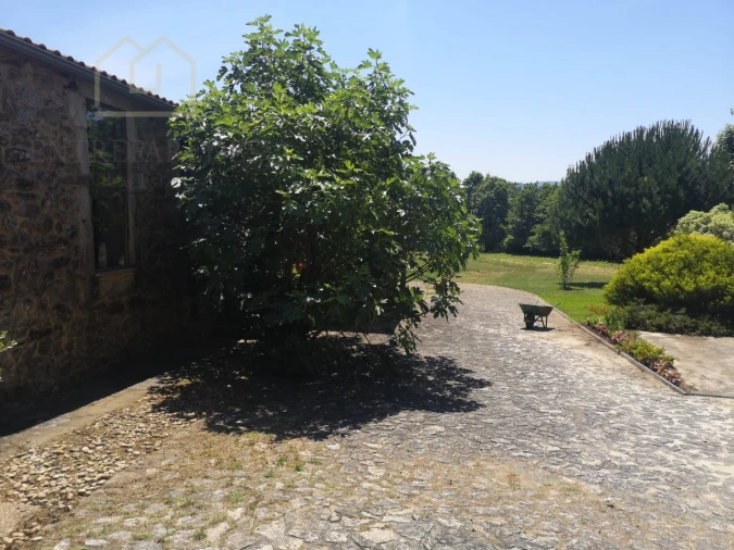 Quinta T7 para Venda em Mentrestido Foto 23