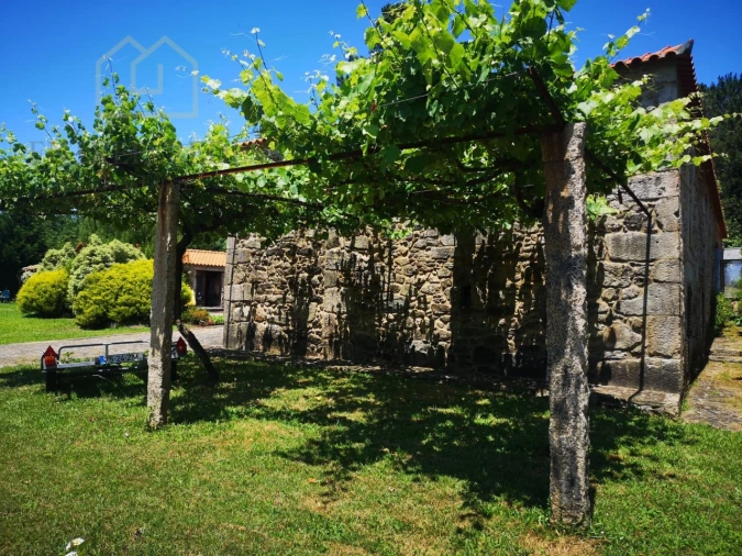 Quinta T7 para Venda em Mentrestido Foto 25