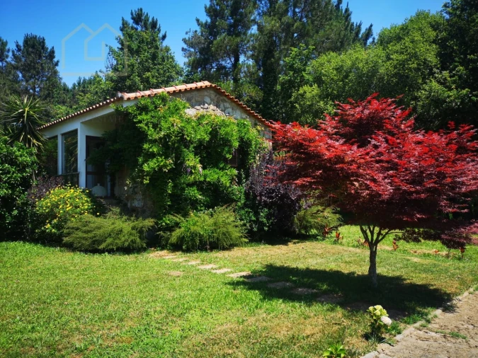 Quinta T7 para Venda em Mentrestido Foto 28