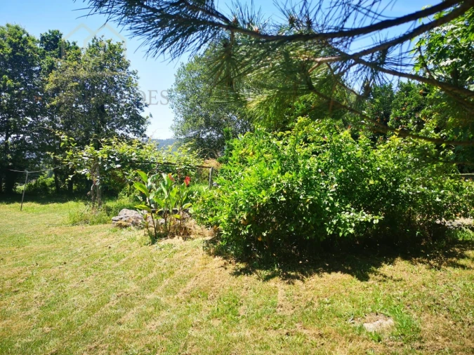 Quinta T7 para Venda em Mentrestido Foto 29