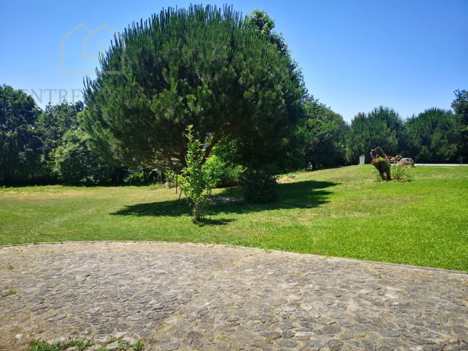 Quinta T7 para Venda em Mentrestido Foto 30